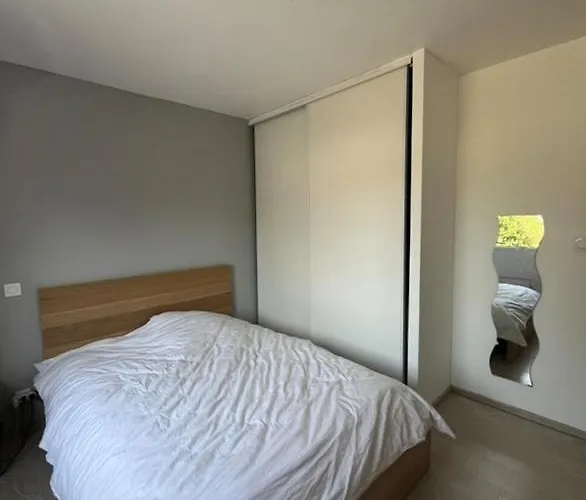 Dans Les Pyrenees -option Piscine En Ete